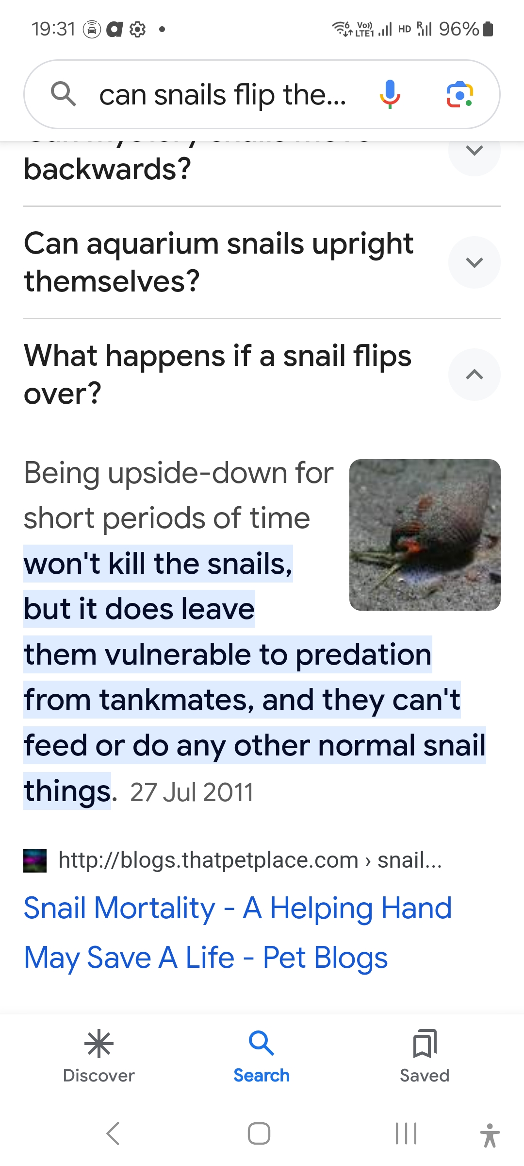 Screenshot_20240128_193124_Google.jpg