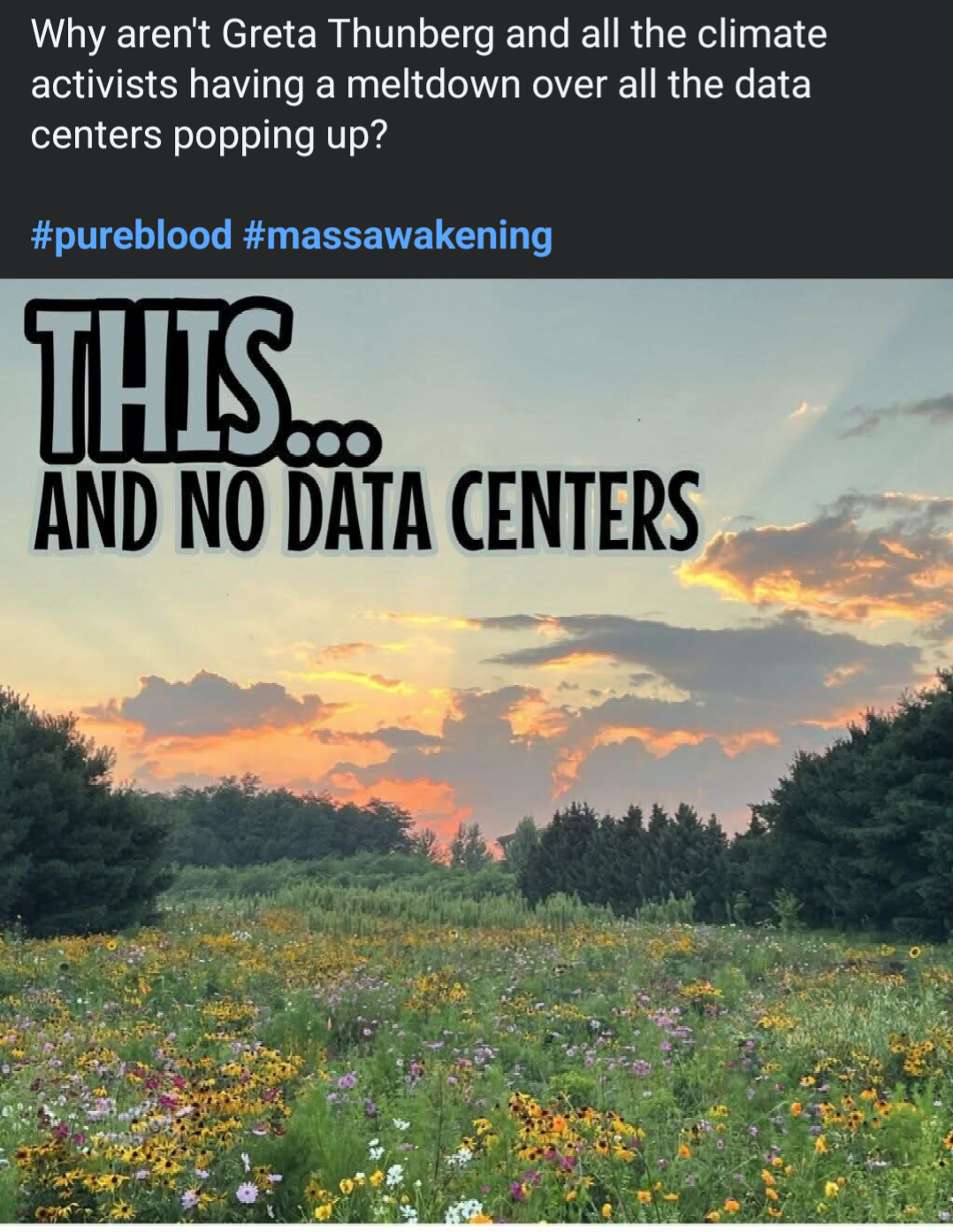 Screenshot_20260602-150633_1.png