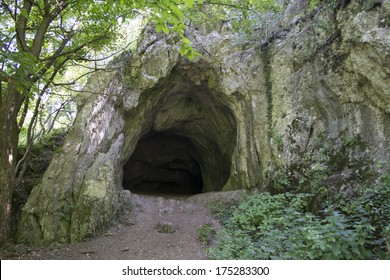 secret-cave-260nw-175283300.jpg