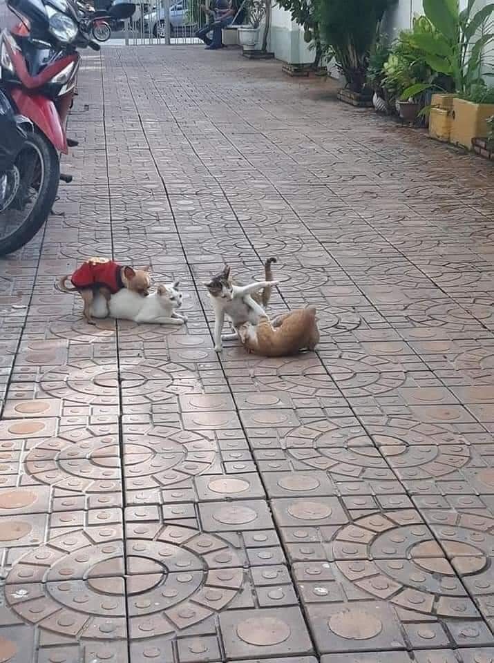 sex.jpg