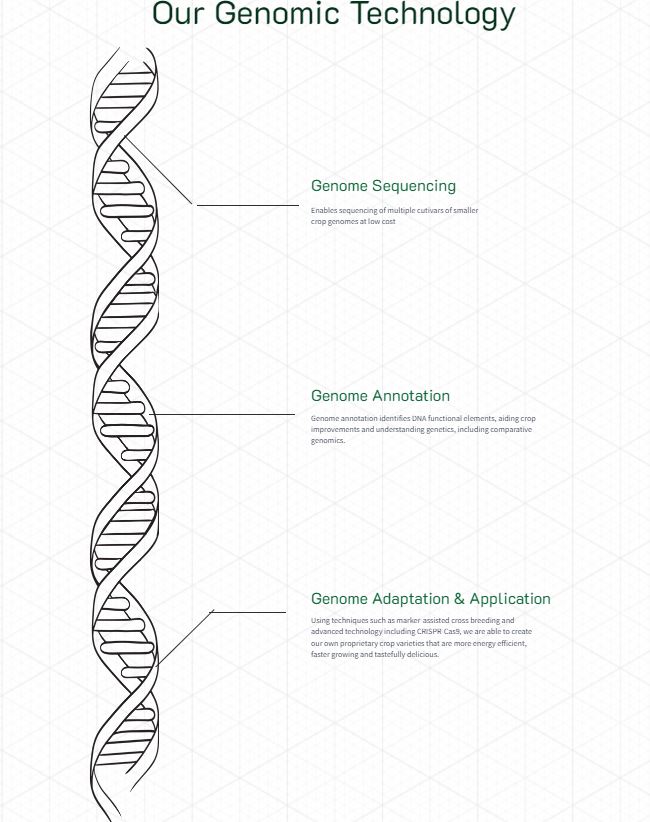 sg-company-gmo.JPG