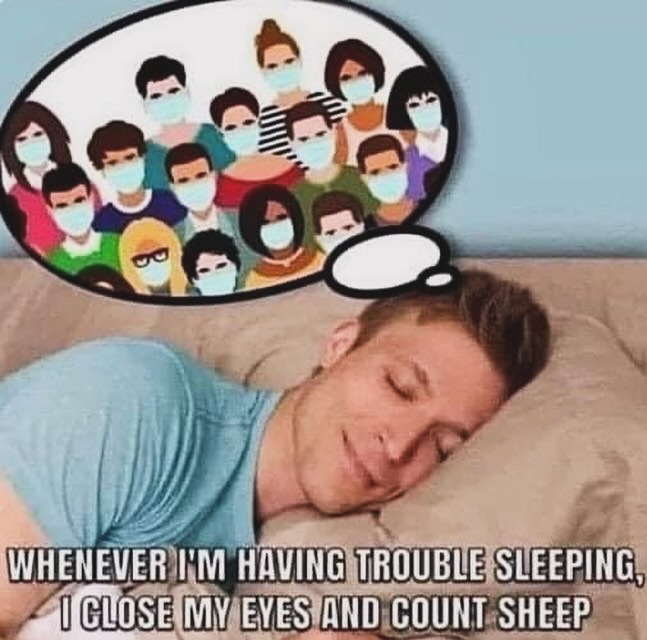sheep.jpg