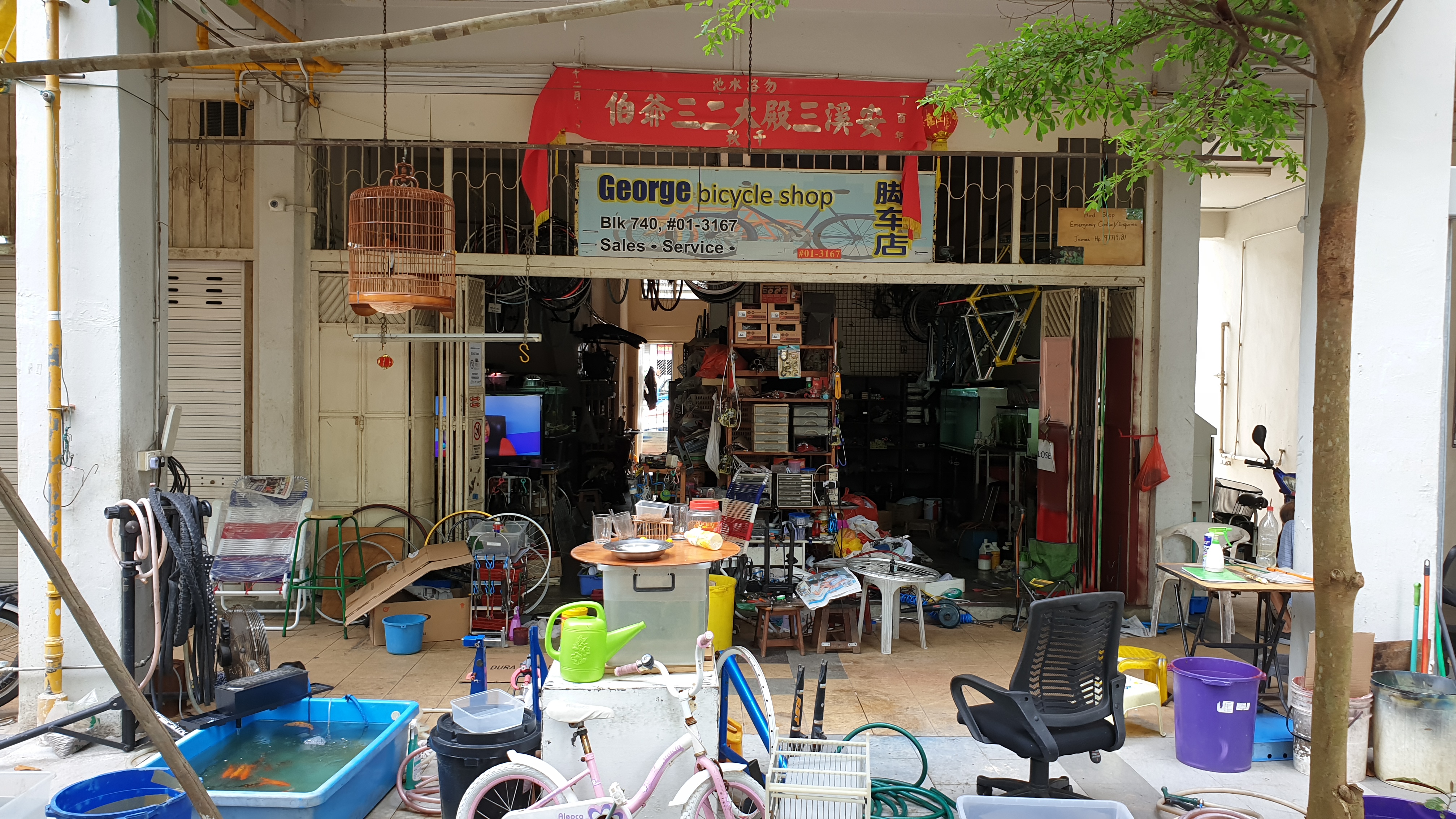 shop1.jpg