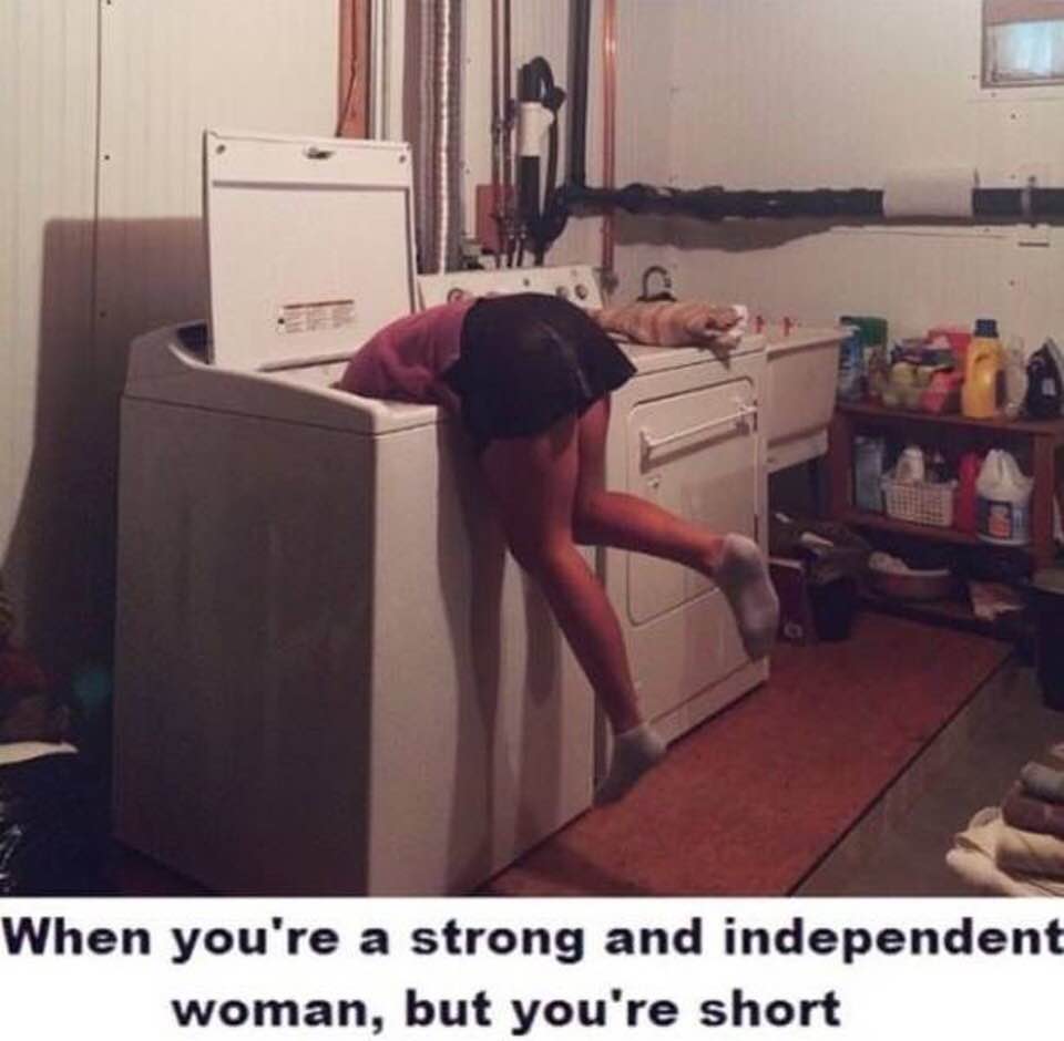 short.jpg