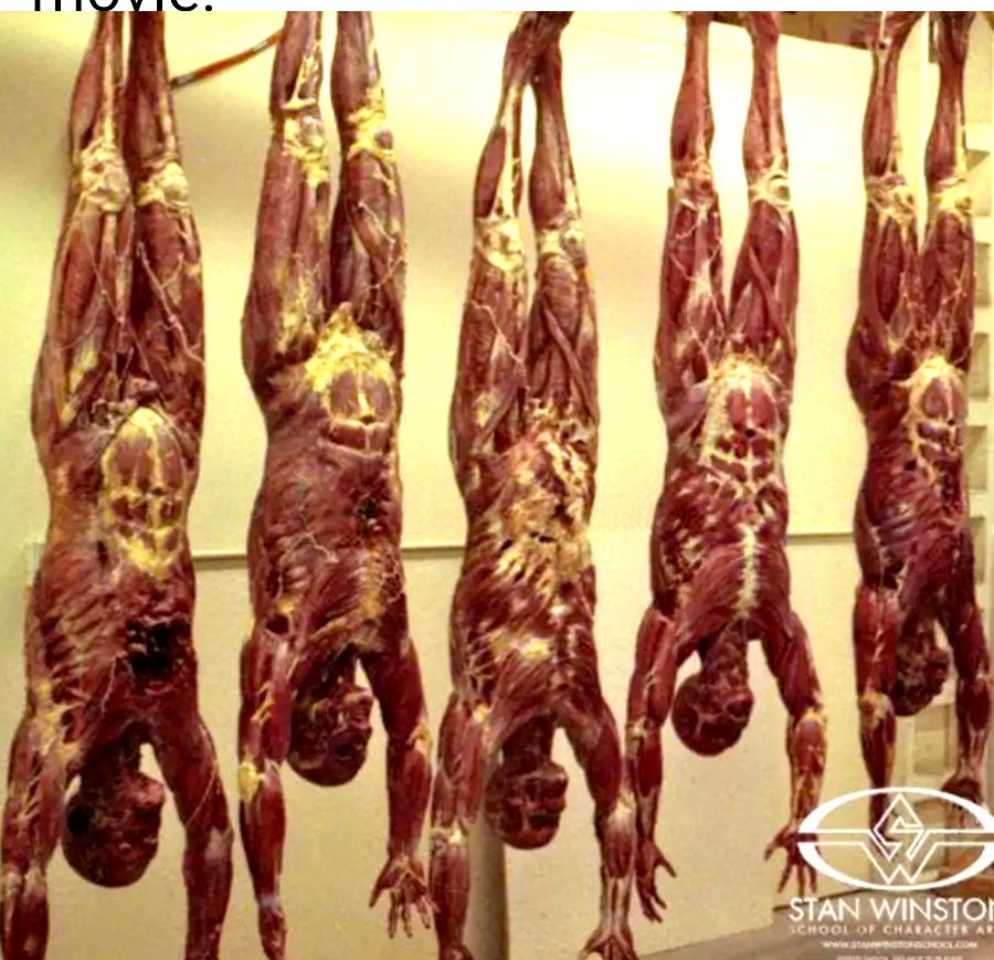 Skinned bodies.jpg