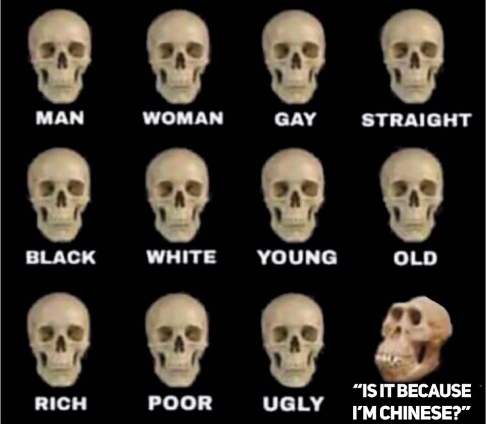 skull.jpg