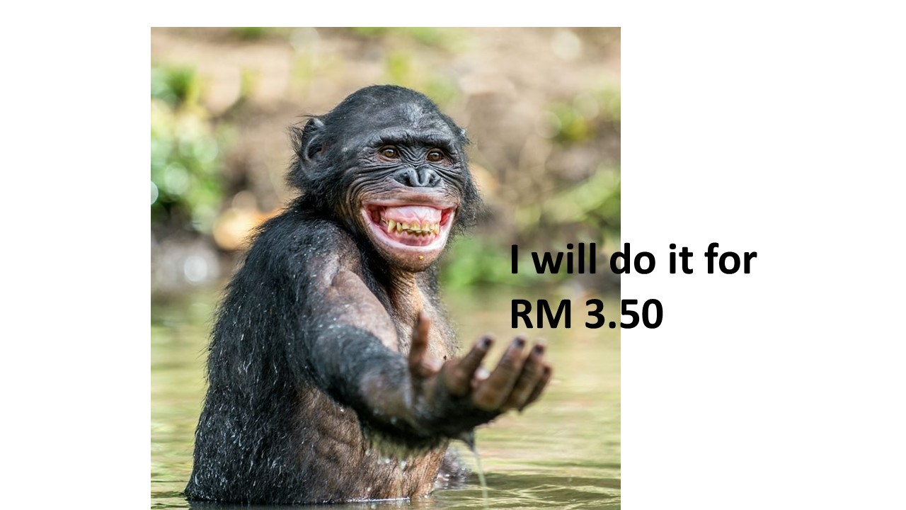 Slide3.JPG
