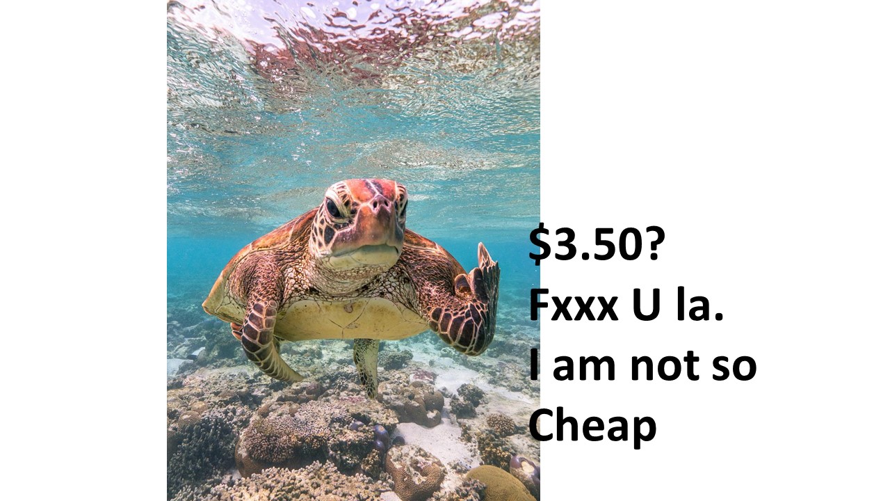 Slide5.JPG