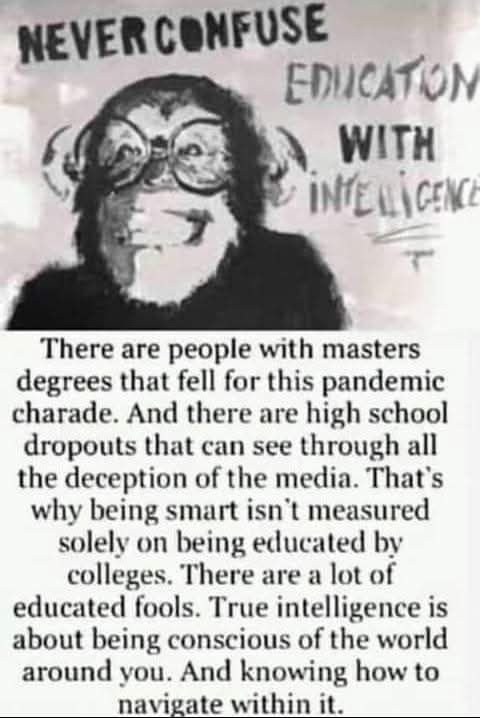 smart.jpg