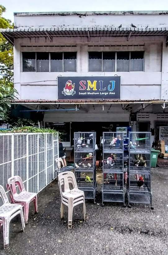 smlj.jpg