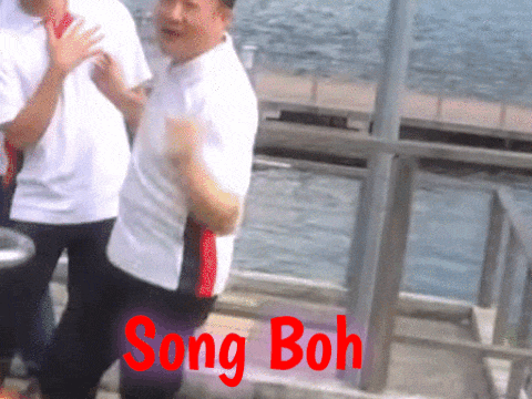 song-boh-10-gif.86076