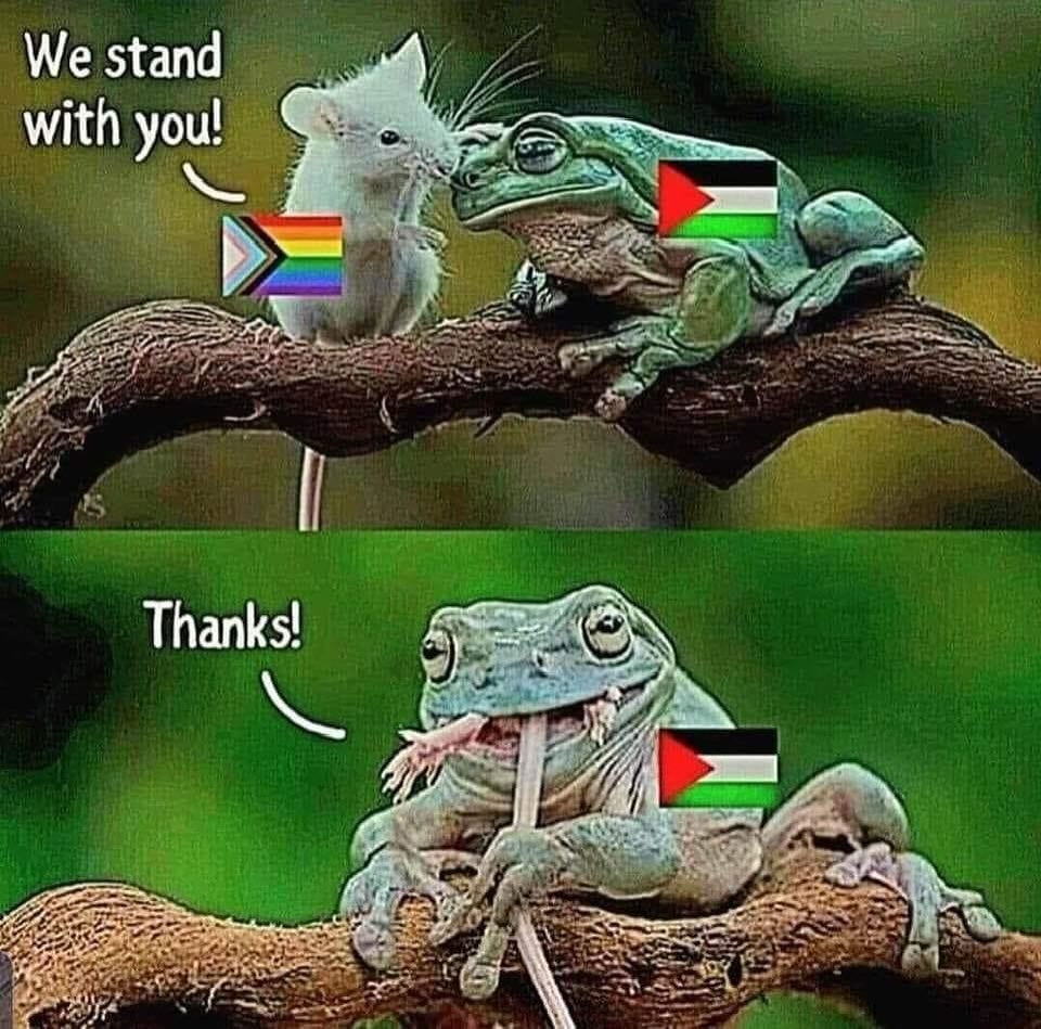 stand.jpg