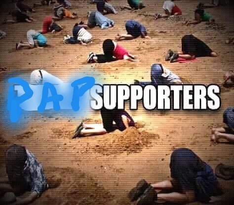 surporters.jpg