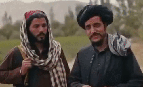talibanlaff-gif.121669