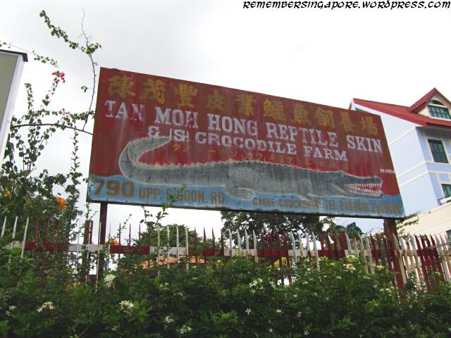tan-moh-hong-crocodile-farm4.jpg