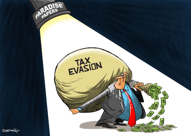 tax_evasion___dr_meddy.jpg