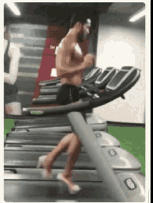 tenor (2).gif