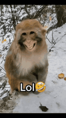tenor.gif