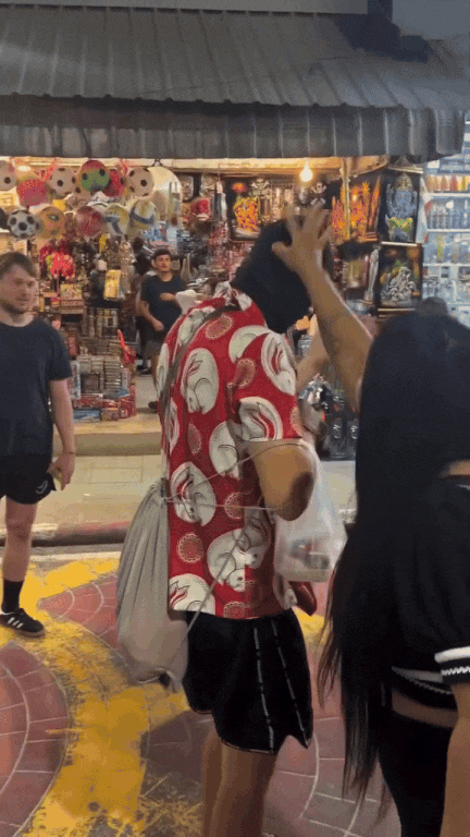 tourist-pet-cockroach-1.gif