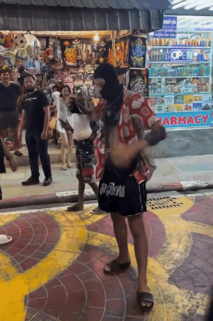 tourist-pet-cockroach-2.gif