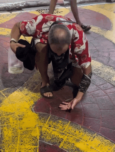 tourist-pet-cockroach-3.gif