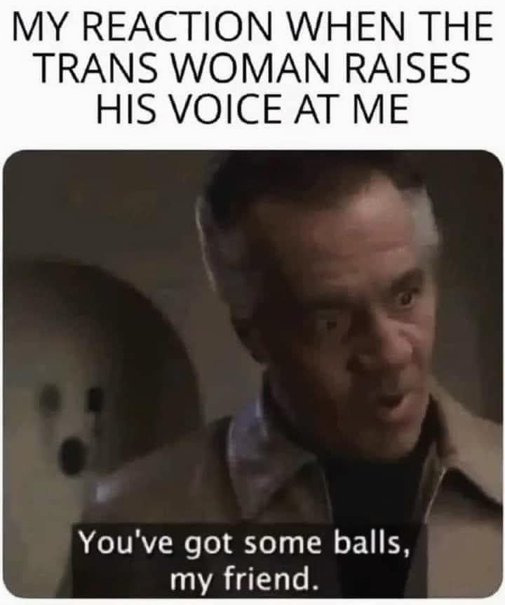 trans.jpg