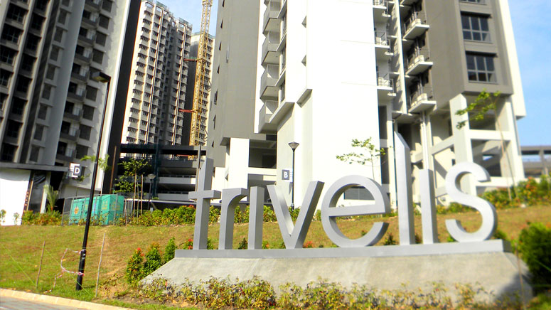 Trivelis_p1.jpg