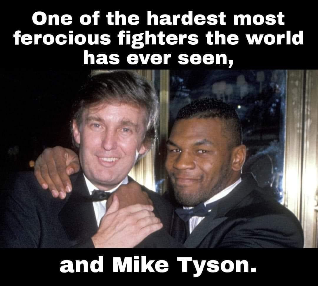 tyson.jpg
