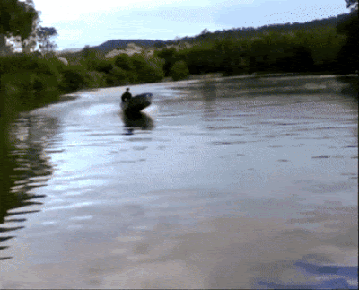 unnamed.gif
