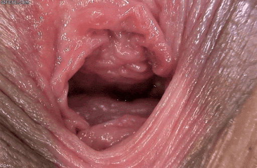 unnamed.gif