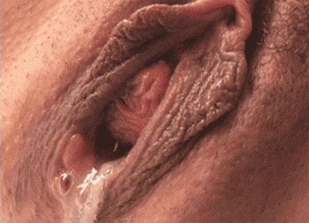 Cottonmouth. 
