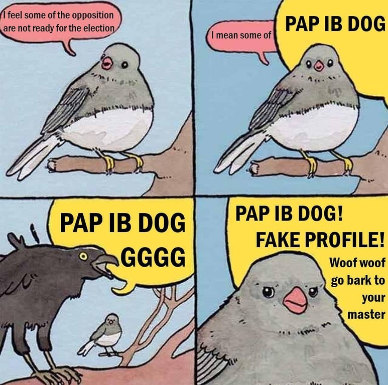 untitled.png