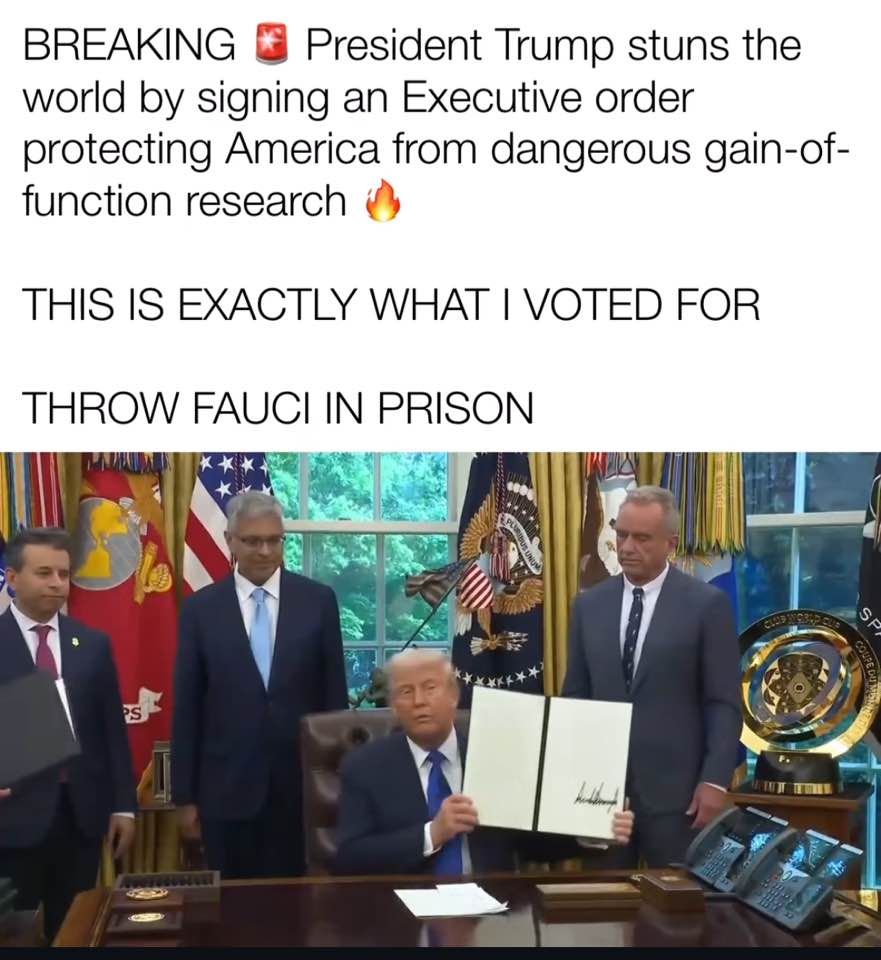 USA-safe.jpg