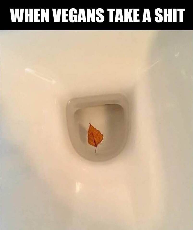 vegan.jpg