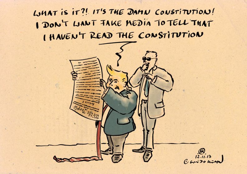 what_its_the_damn_constitution__guido_kuehn.jpg