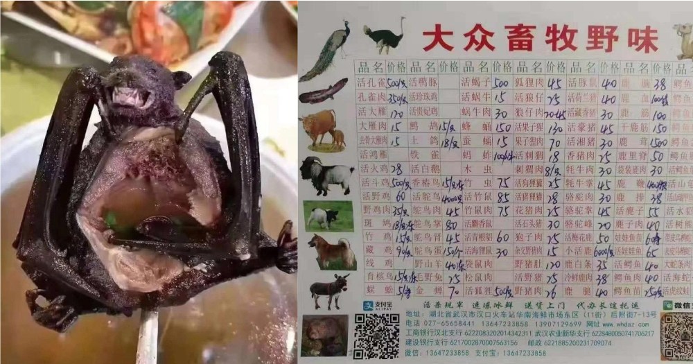 wild-animals-menu-wuhan.jpg
