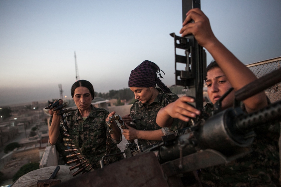 YPJ-Trieb_58.jpg
