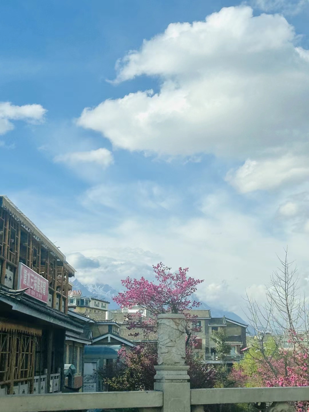 yunnan1.jpg