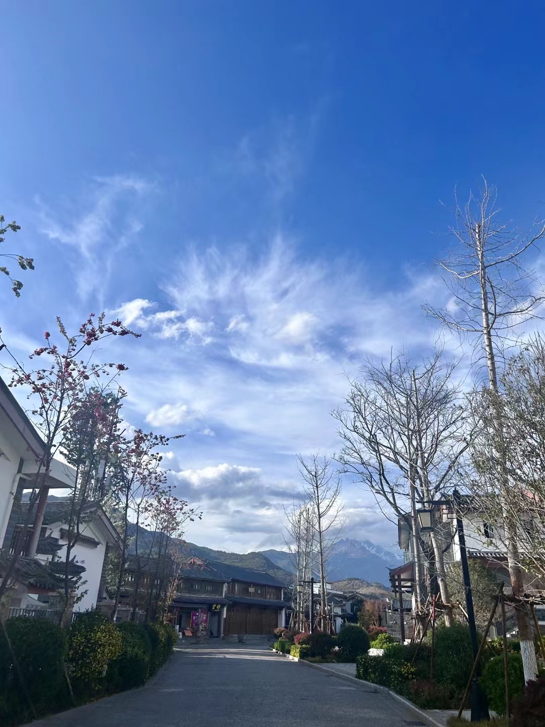 yunnan2.jpg