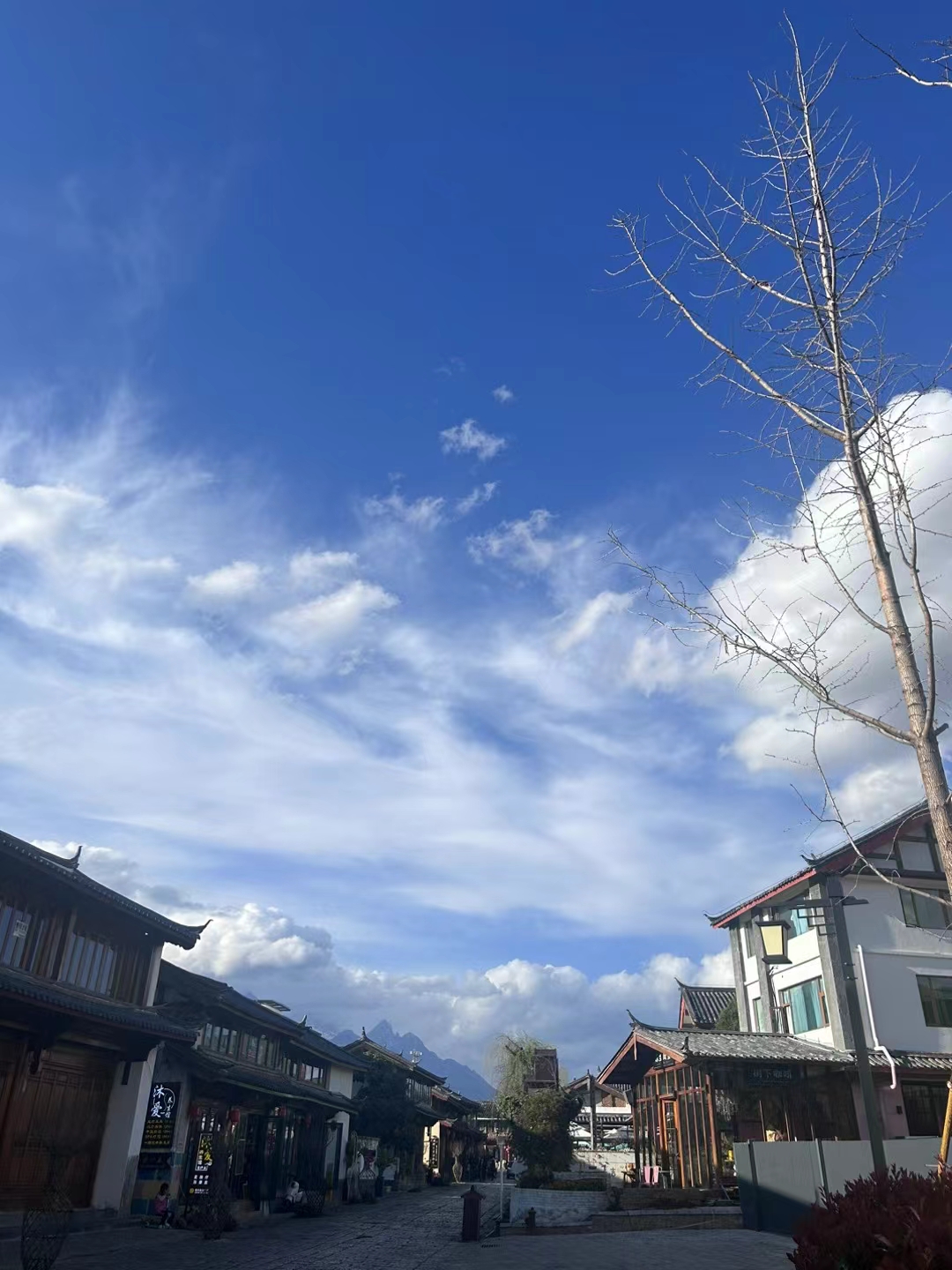 yunnan3.jpg