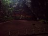 DSC00044.jpg
