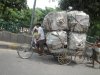 DSC07135.JPG