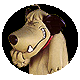 Muttley-Snickering11.gif