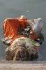 india-photos-48.jpg
