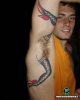 tony's tatoo.jpg