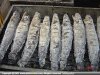 Snakehead BBQ.jpg