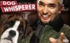 DogWhisperer.jpg