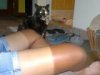 th_sailorleg_zpsde8b27b0.jpg