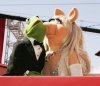 Miss-Piggy-and-Kermit-miss-piggy-and-kermit-26995538-360-312.jpg