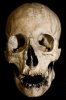 Reily_Skull_with_Jaw_27_001.sized.jpg